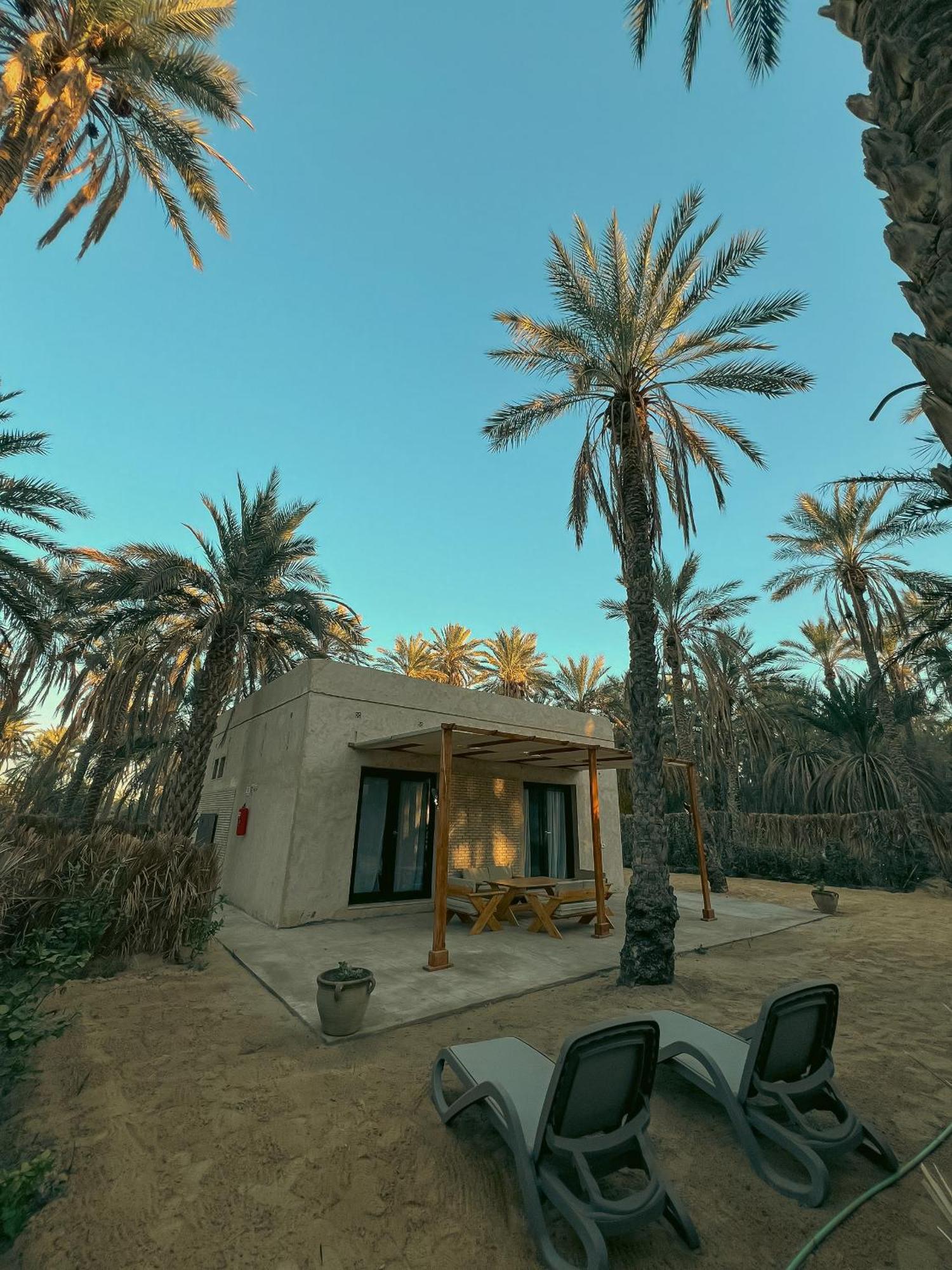 Villa Taouzert 托泽尔 外观 照片